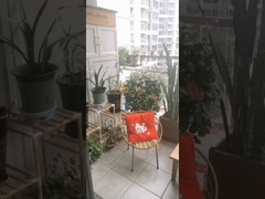 316 Grade Stainless Steel  With Clip Crossing Security For Invisible Balcony Grille