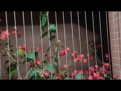 Нержавеющая сталь предохранения от 316 ребенка гриля балкона невидимая