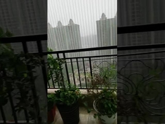 Домой Невидимые фиксированные охранные решетки Противоржавеющая проволока для безопасности детей и домашних животных