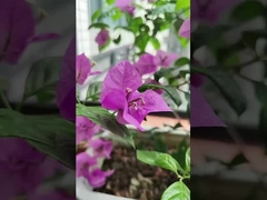 316 Кабели из нержавеющей стали Балкон Невидимая решетка с грузоподъемностью 100 кг