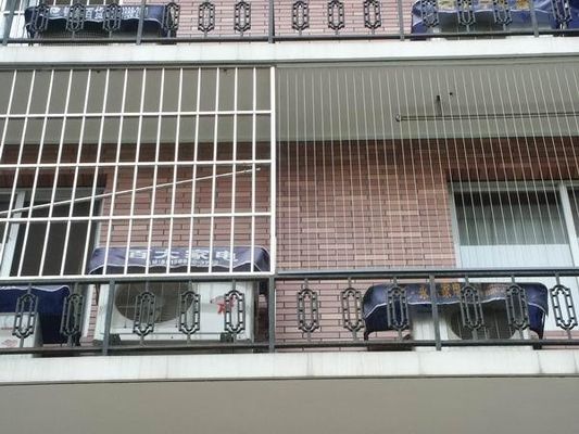 Современное общество дизайн стиль Невидимая решетка Балкон для толерантности ± 1% толерантности